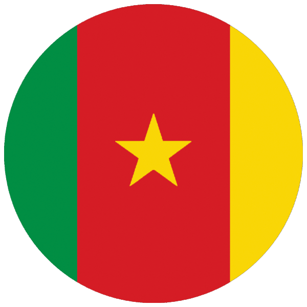 Cameroon | round cut sticker Cameroon | round cut sticker