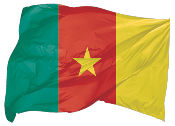 Cameroon | waving flag as sticker Cameroon | waving flag as sticker